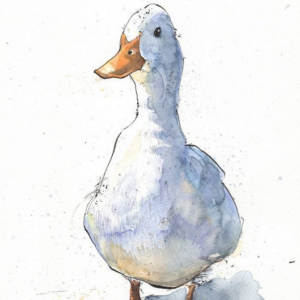 Este es un lindo patito - Texto alternativo