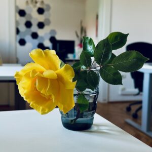 Flor
